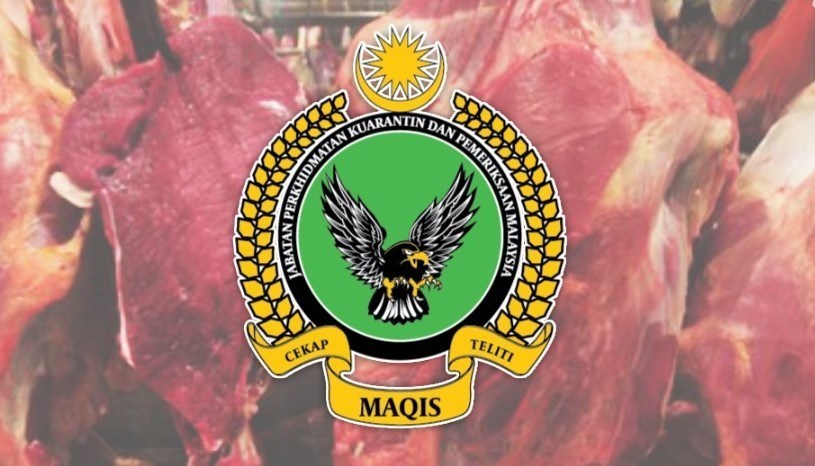Maqis